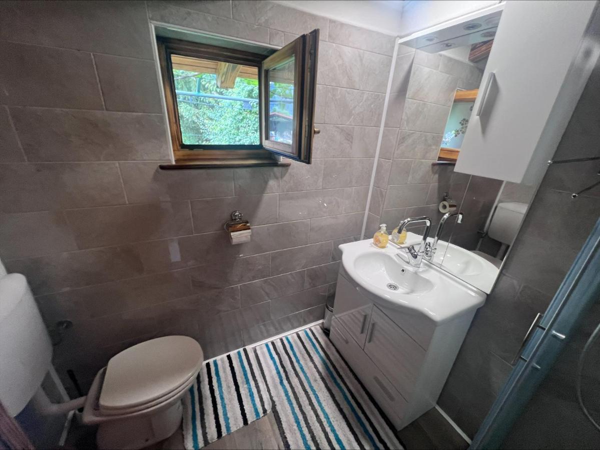 Domacija Paternoster Hotell Litija Exteriör bild